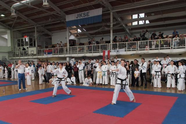 taekwon-do2014059