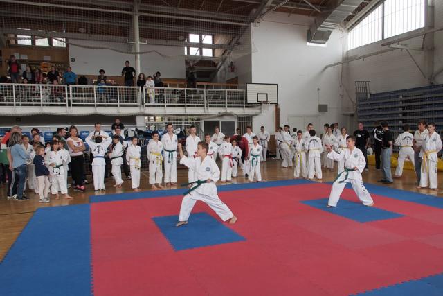 taekwon-do2014068