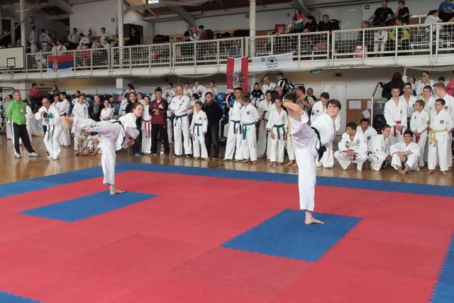 taekwon-do2014073