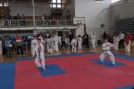 taekwon-do2014077