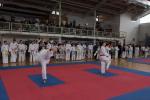 taekwon-do2014079