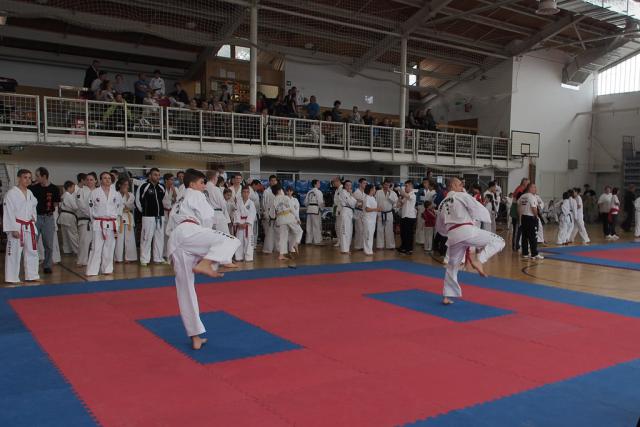 taekwon-do2014080