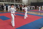 taekwon-do2014083