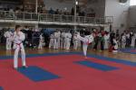 taekwon-do2014084