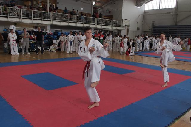 taekwon-do2014085