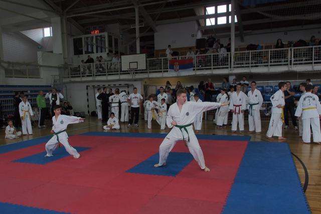 taekwon-do2014087