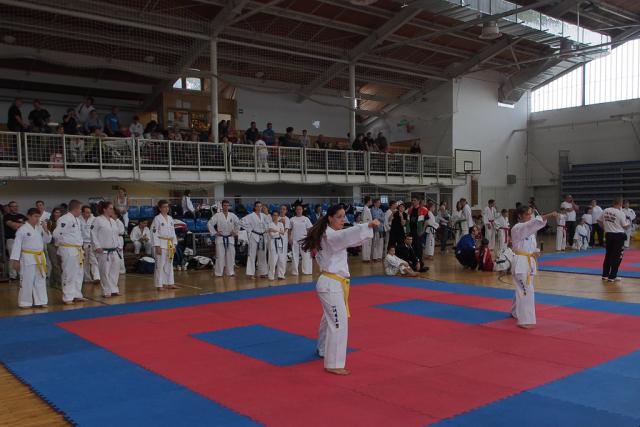 taekwon-do2014089