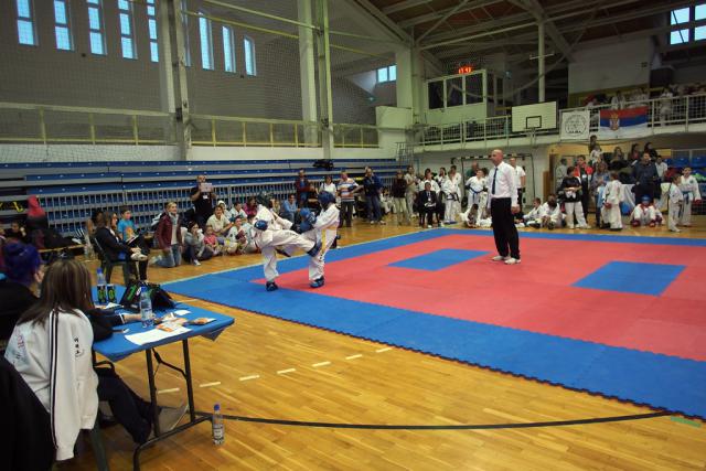 taekwon-do22014031