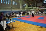 taekwon-do22014031