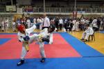 taekwon-do22014036