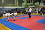 taekwon-do22014038