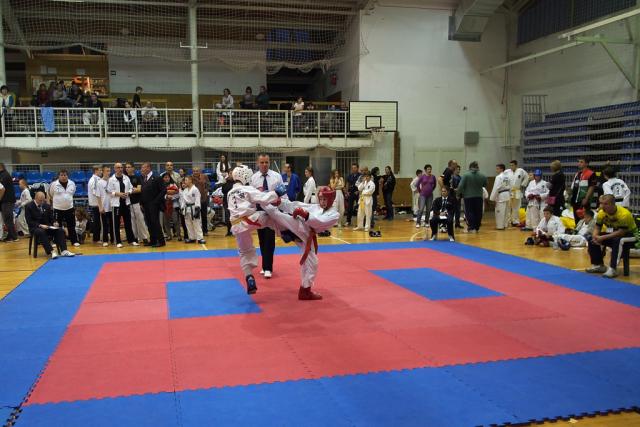 taekwon-do22014041