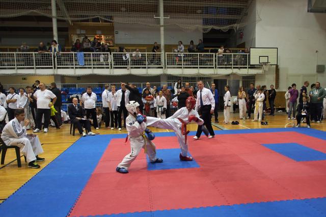 taekwon-do22014042