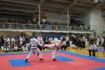 taekwon-do22014043