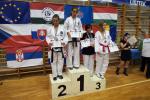 taekwon-do22014085