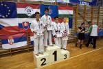 taekwon-do22014092