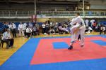 taekwon-do22014106