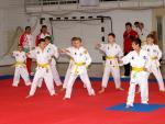 taekwon2010004