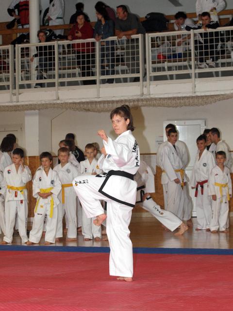 taekwon2010009