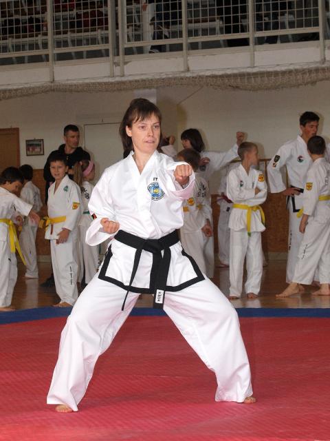 taekwon2010011