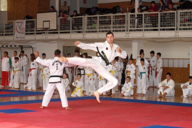 taekwon2010012