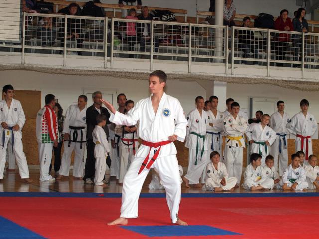 taekwon2010017