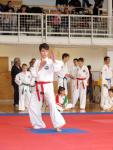 taekwon2010020