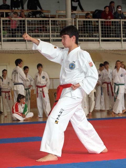 taekwon2010022