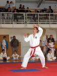 taekwon2010024