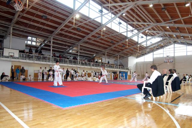 taekwon2010025