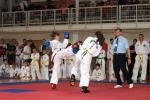 taekwon2010030