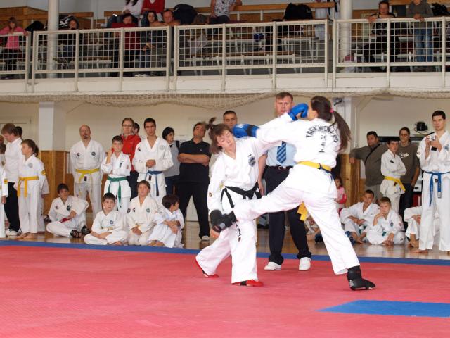 taekwon2010031