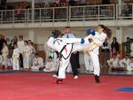 taekwon2010032