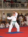 taekwon2010036