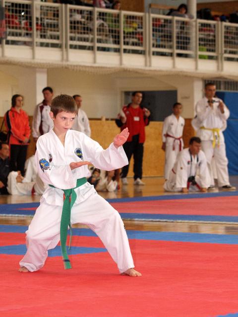 taekwon2010037