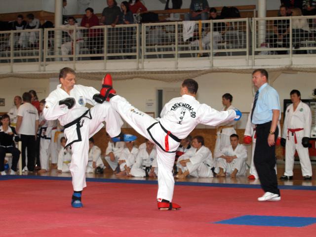 taekwon2010039