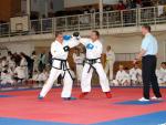 taekwon2010042