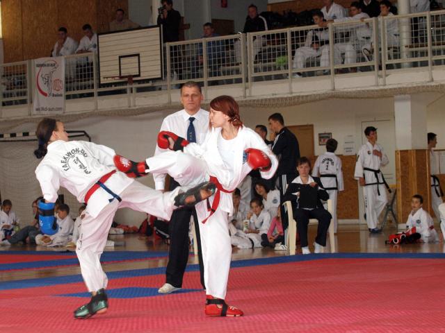 taekwon2010047