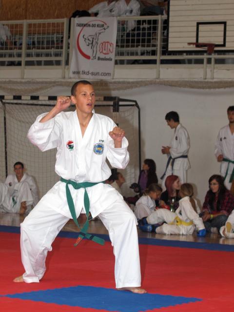 taekwon2010050