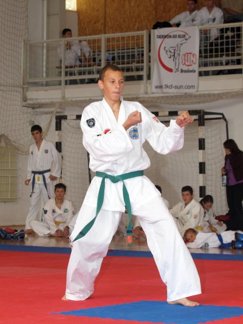 taekwon2010051