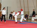 taekwon2010060