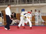 taekwon2010061