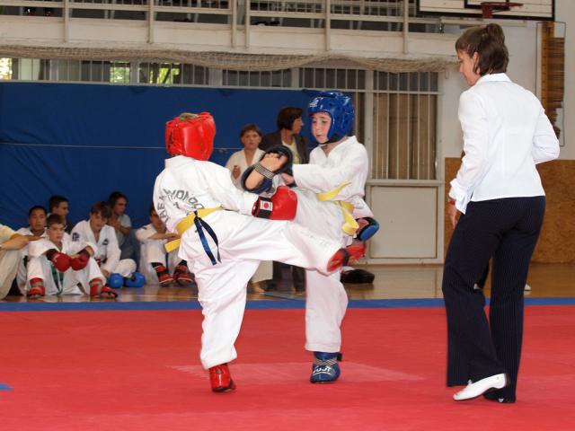 taekwon2010064