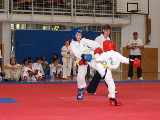 taekwon2010066