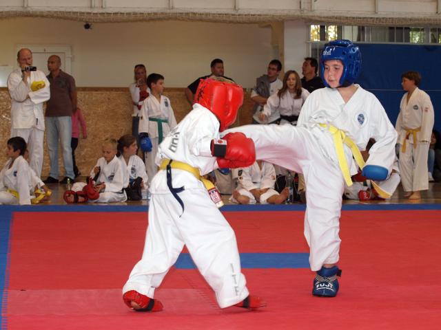 taekwon2010068