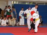 taekwon2010069