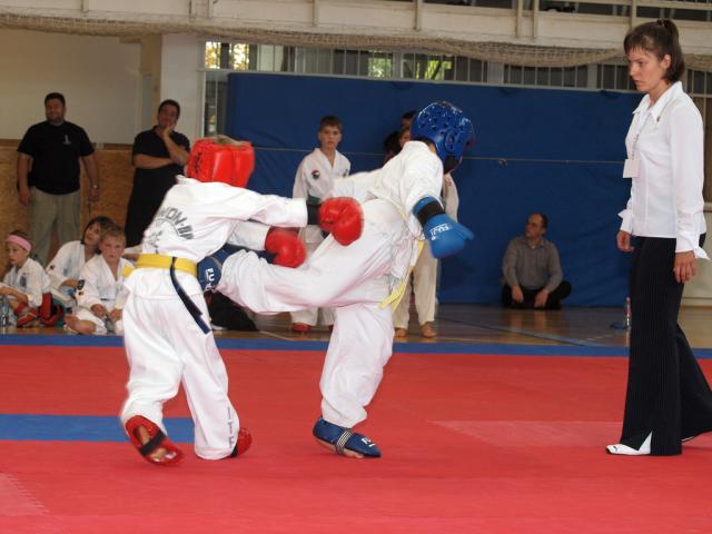 taekwon2010070