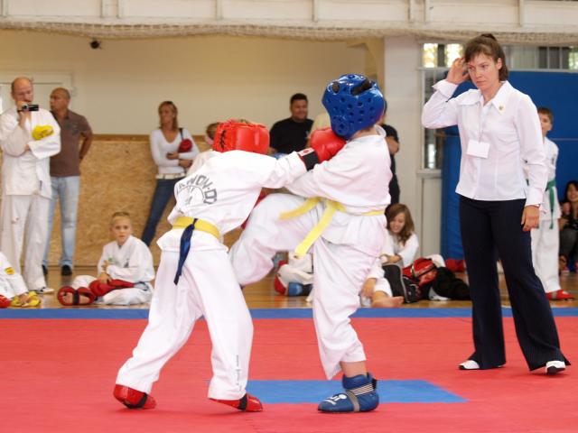 taekwon2010071