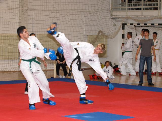 taekwon2010077