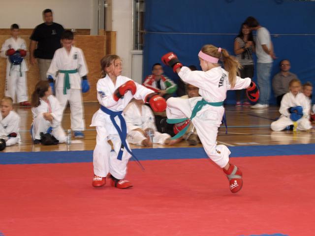 taekwon2010085